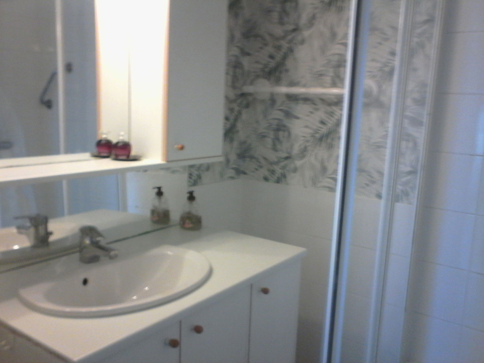 Homestay Bourgoin-Jallieu 494830