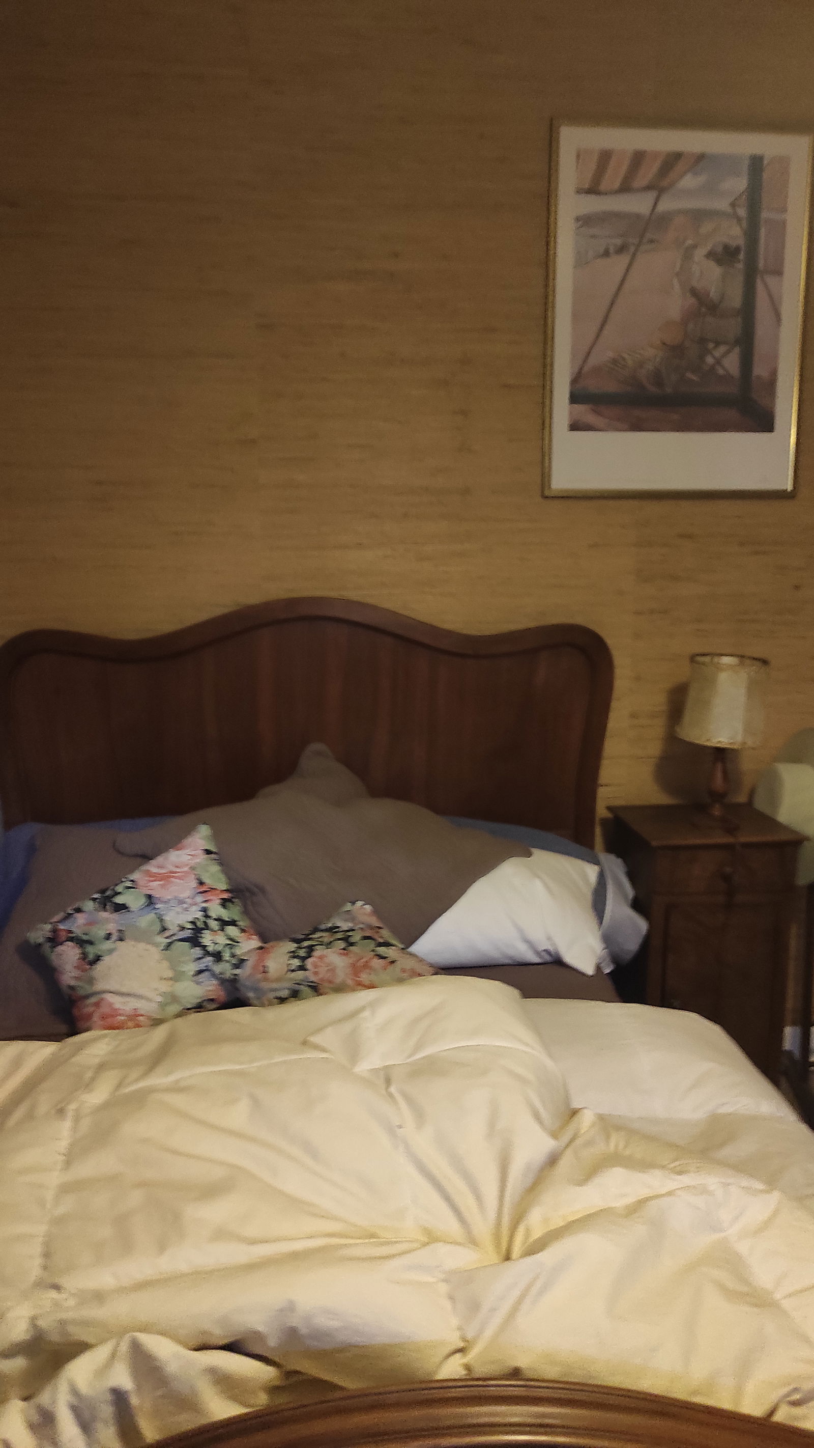 Homestay Poisat 573596