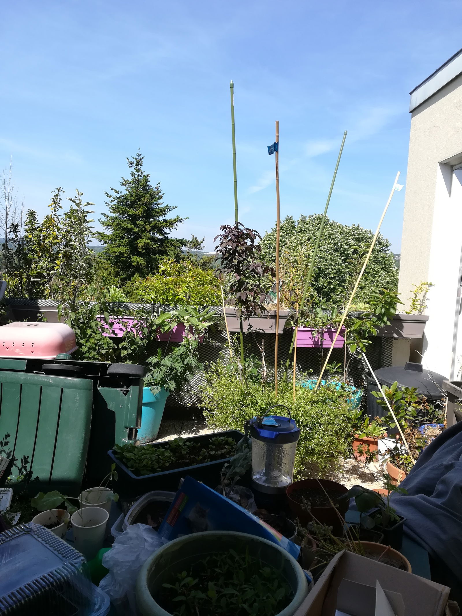 Homestay Cergy 227800