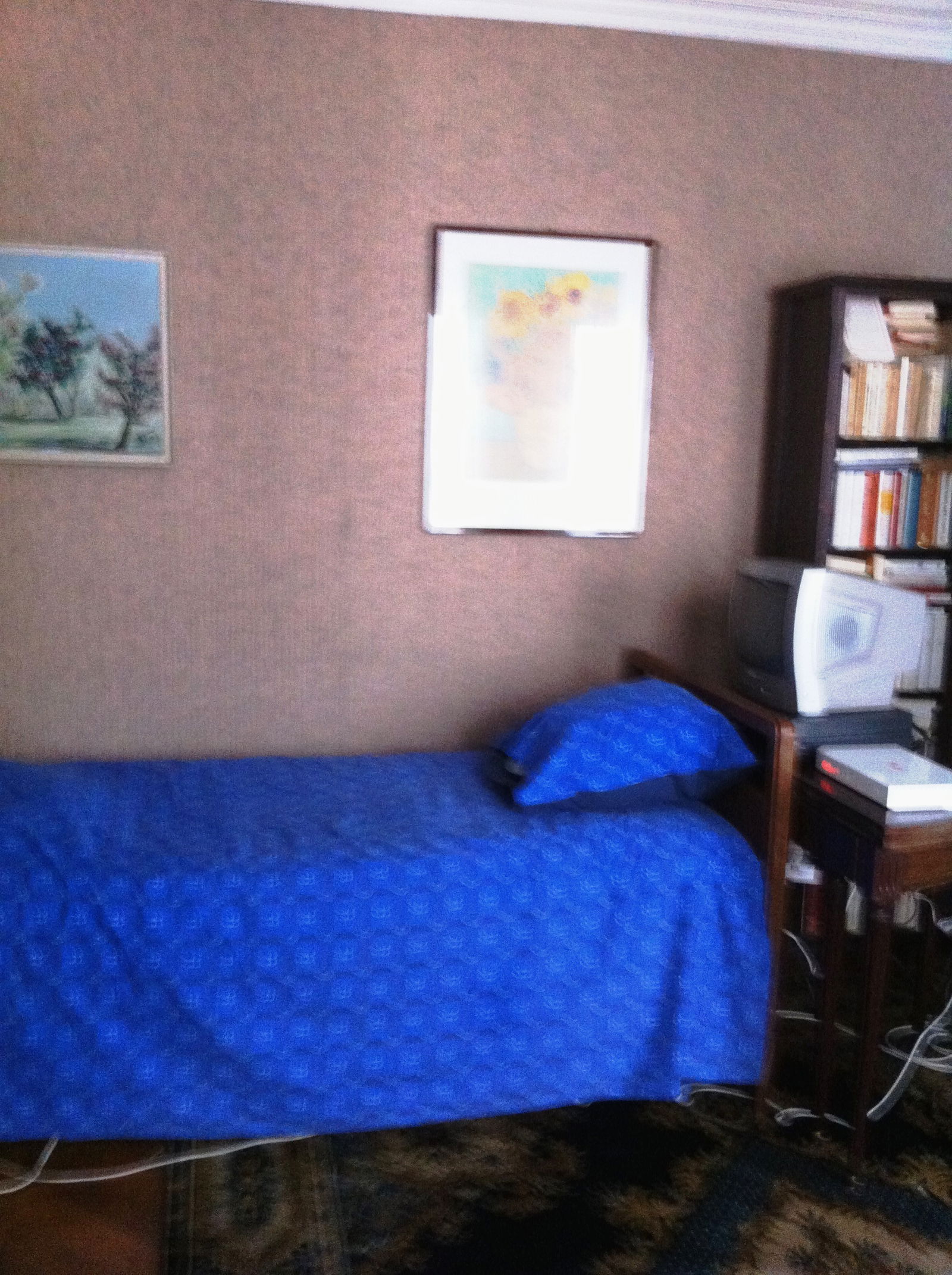 Homestay Paris 140114