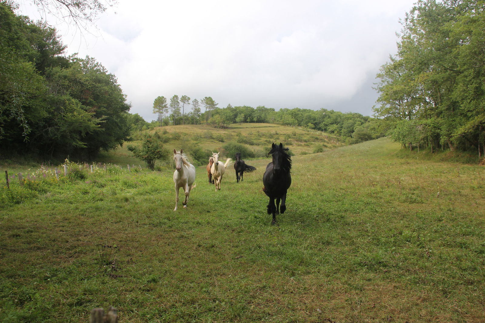 Homestay Payros-Cazautets 594176