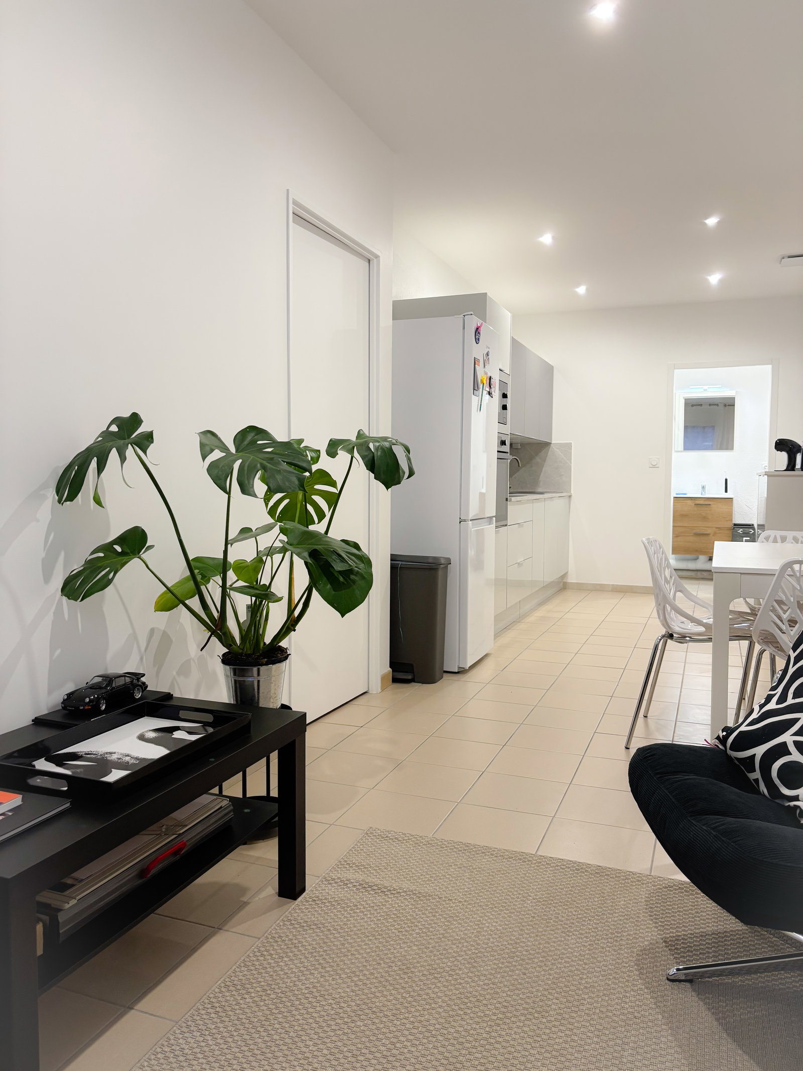 Colocation Nîmes 509026