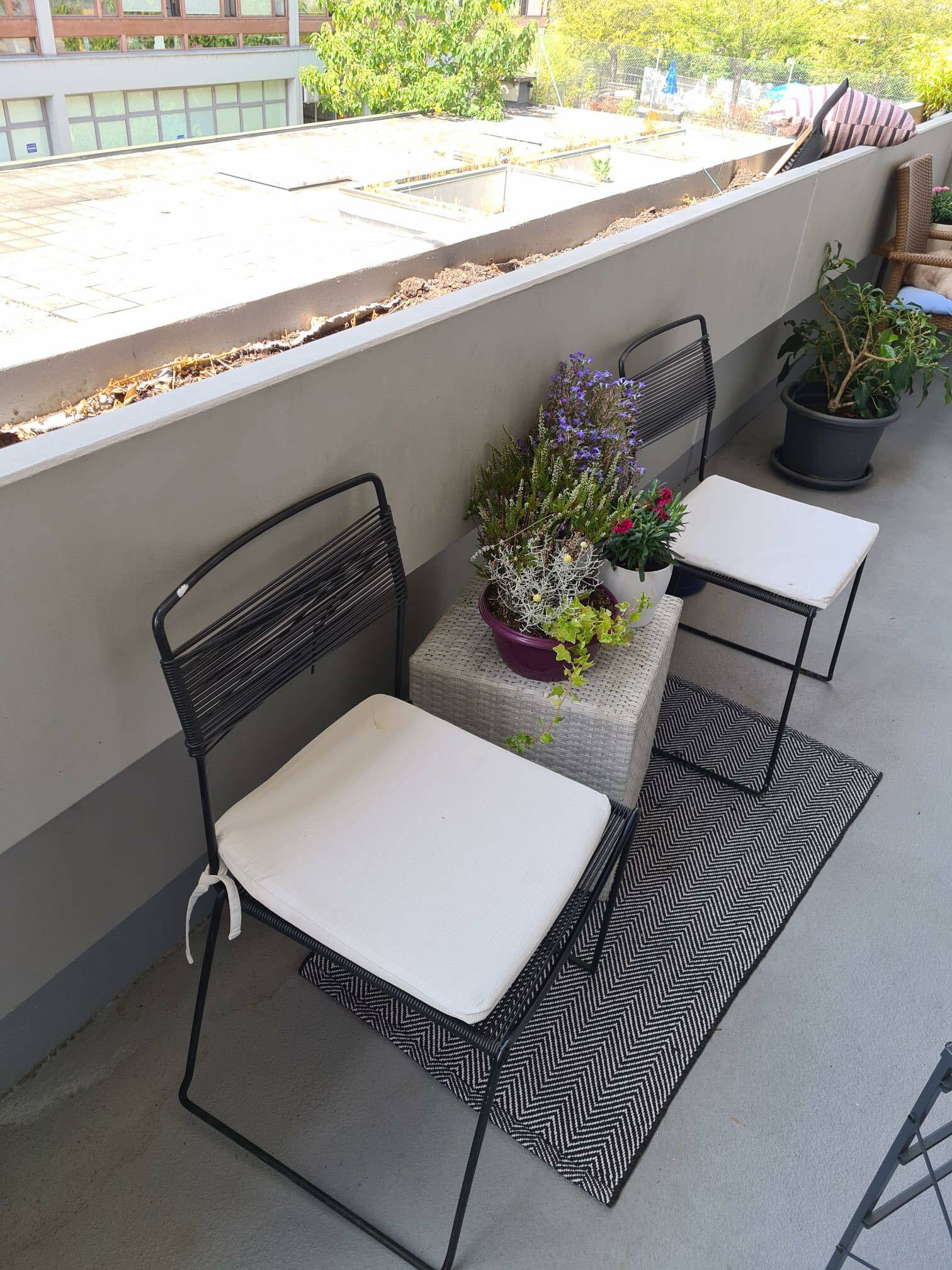 Homestay Genève 244722