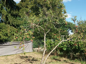 Colocation Saumur 260672-12