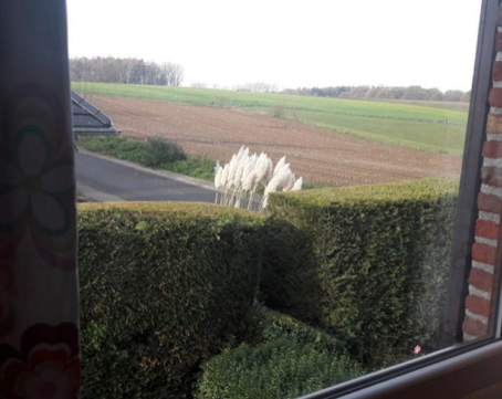 Homestay Rhode-Saint-Genèse 263617