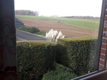 Chambre Chez L'habitant Rhode-Saint-Genèse 263617-4