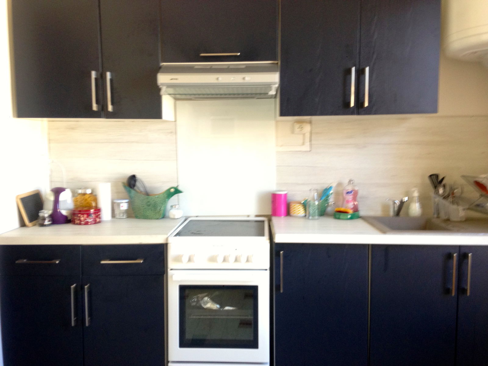 Colocation Lyon 170136