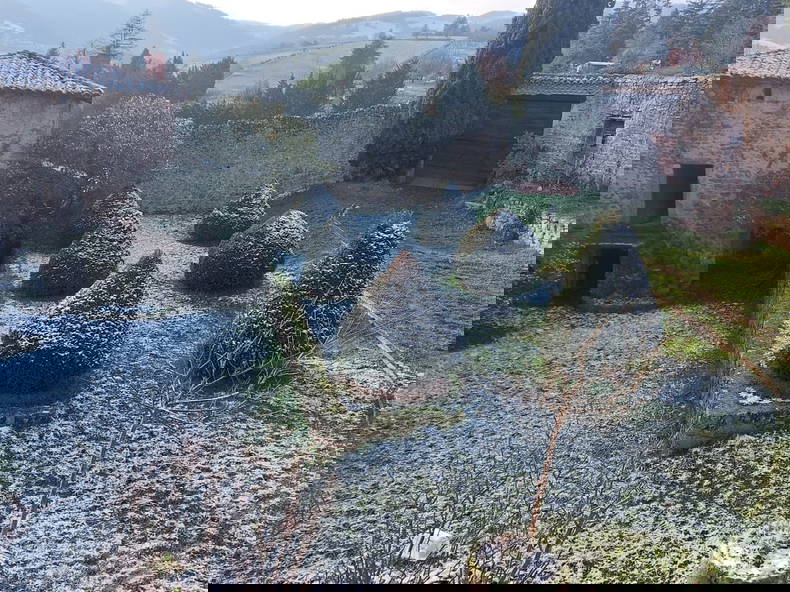 Homestay Vaugneray 328917-2