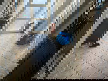 Chambre Chez L'habitant Waterloo 298475-5