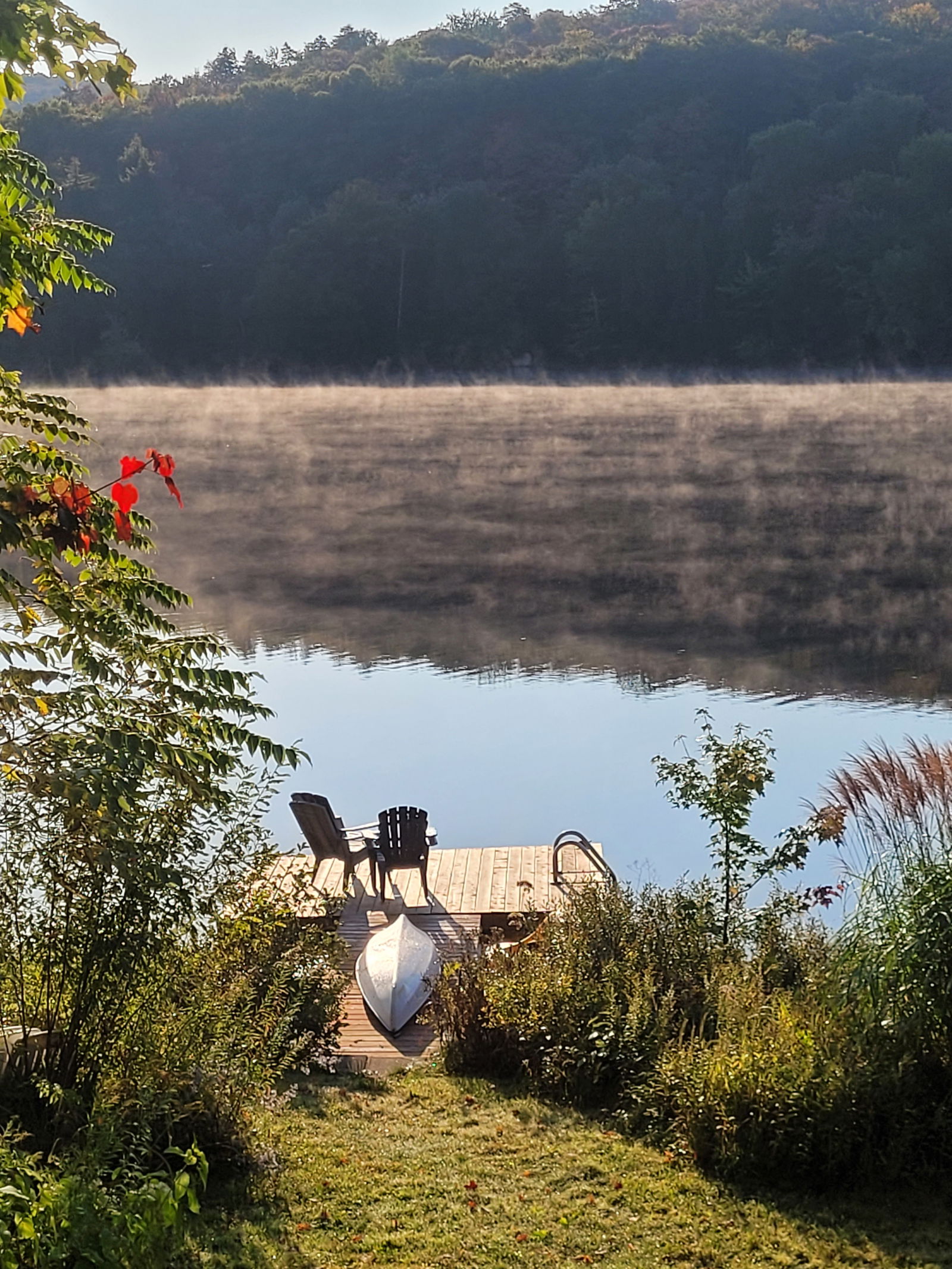 Homestay Saint-Adolphe-d'Howard 358078