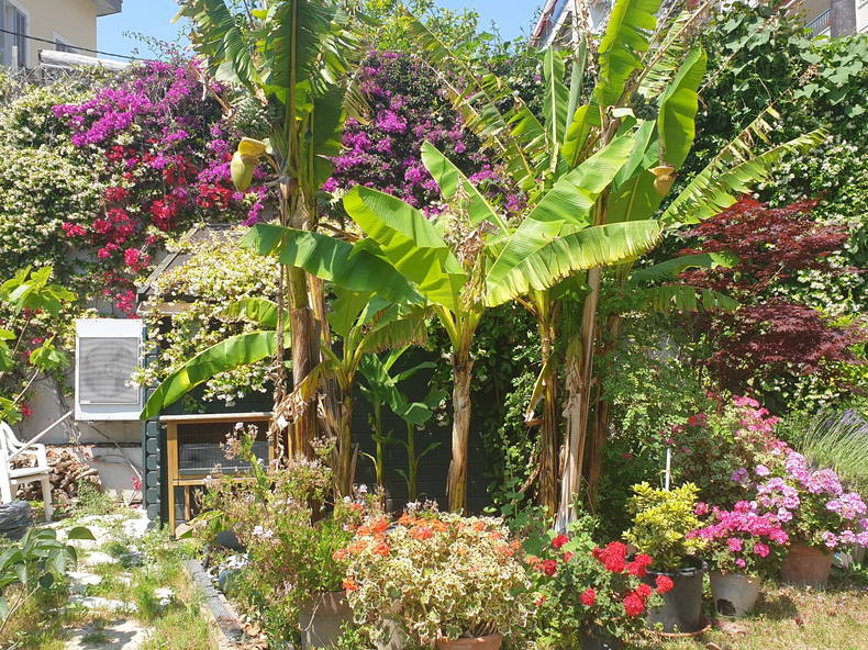 Chambre Chez L'habitant Nice 241013-4