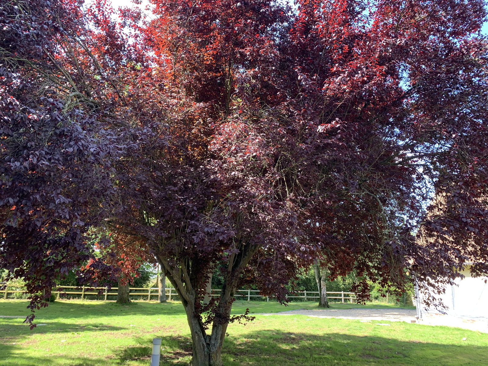 Homestay Hauville 274822