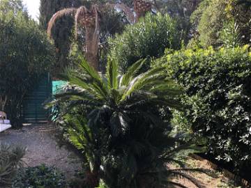 Homestay Cannes 258174-9