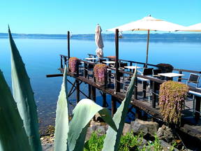 Room In Apartment Trevignano R.(RM)