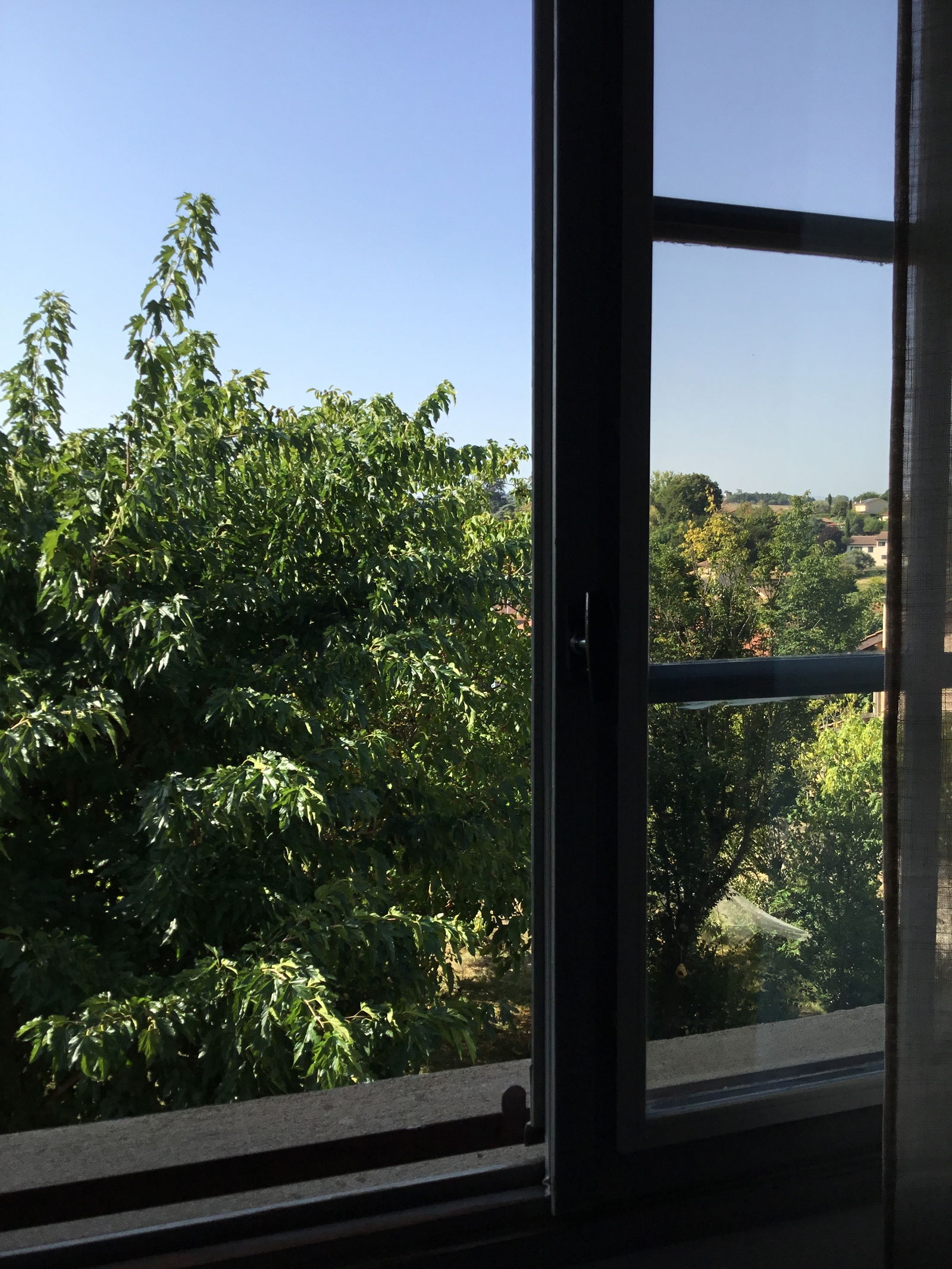 Homestay Charly 418946