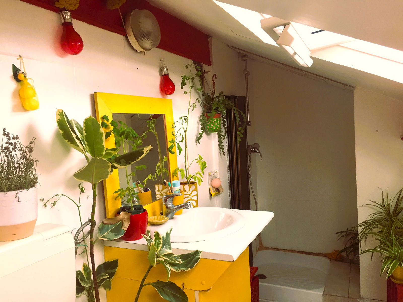 Bed And Breakfast Saint-Denis 255110