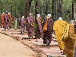 Tuisverblyf Serpentine 91975-4