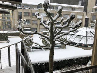 Homestay Lausanne 163819-2