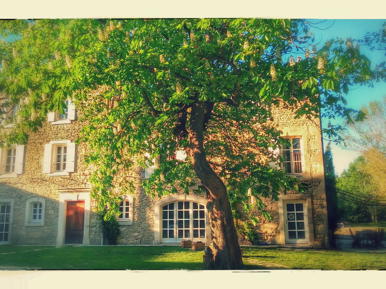 Quedarse En Casa Montségur-sur-Lauzon 233149-3