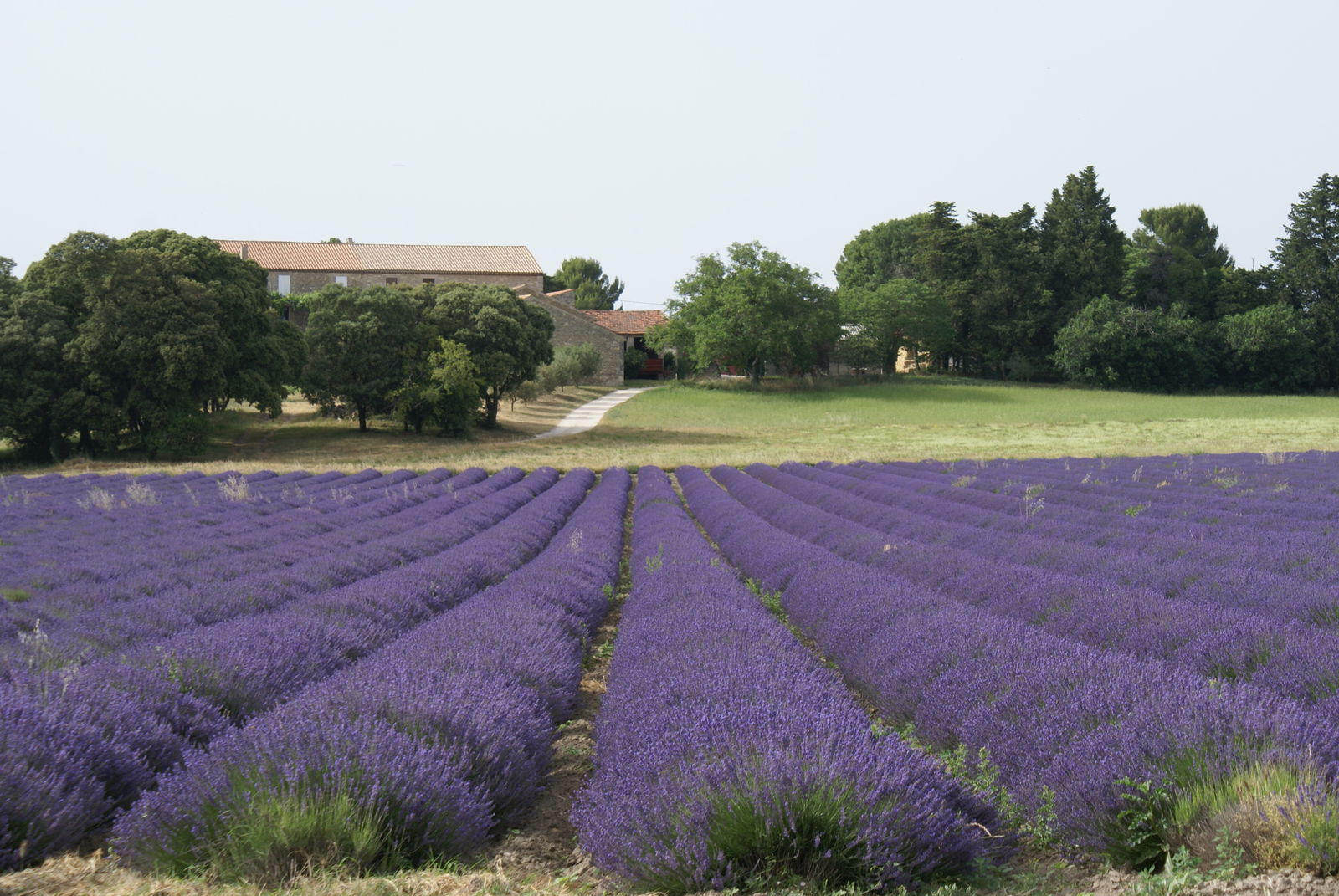 Homestay Montségur-sur-Lauzon 233149