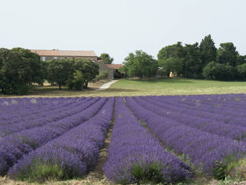 Chambre Chez L'habitant Montségur-Sur-Lauzon 233149-7