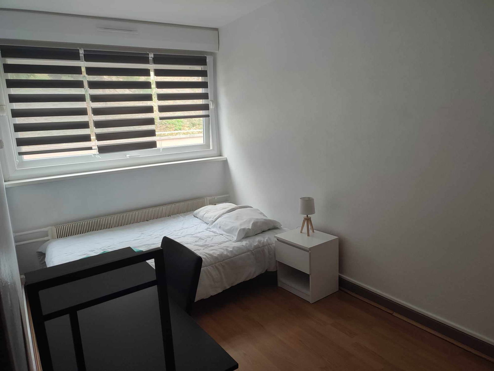 Colocation Nancy 417536