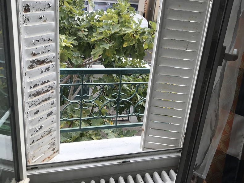 Homestay Alfortville 235920-2