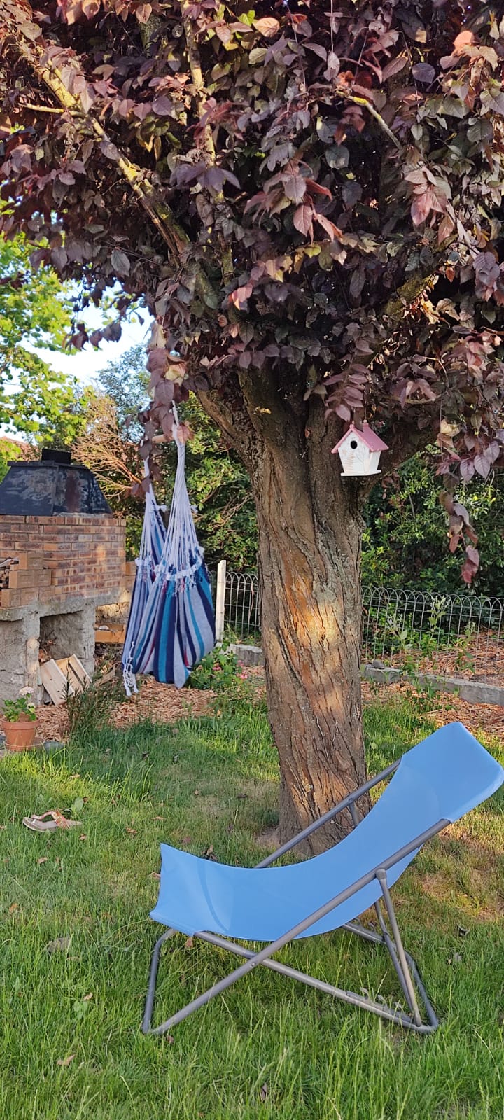 Homestay Savigneux 262066