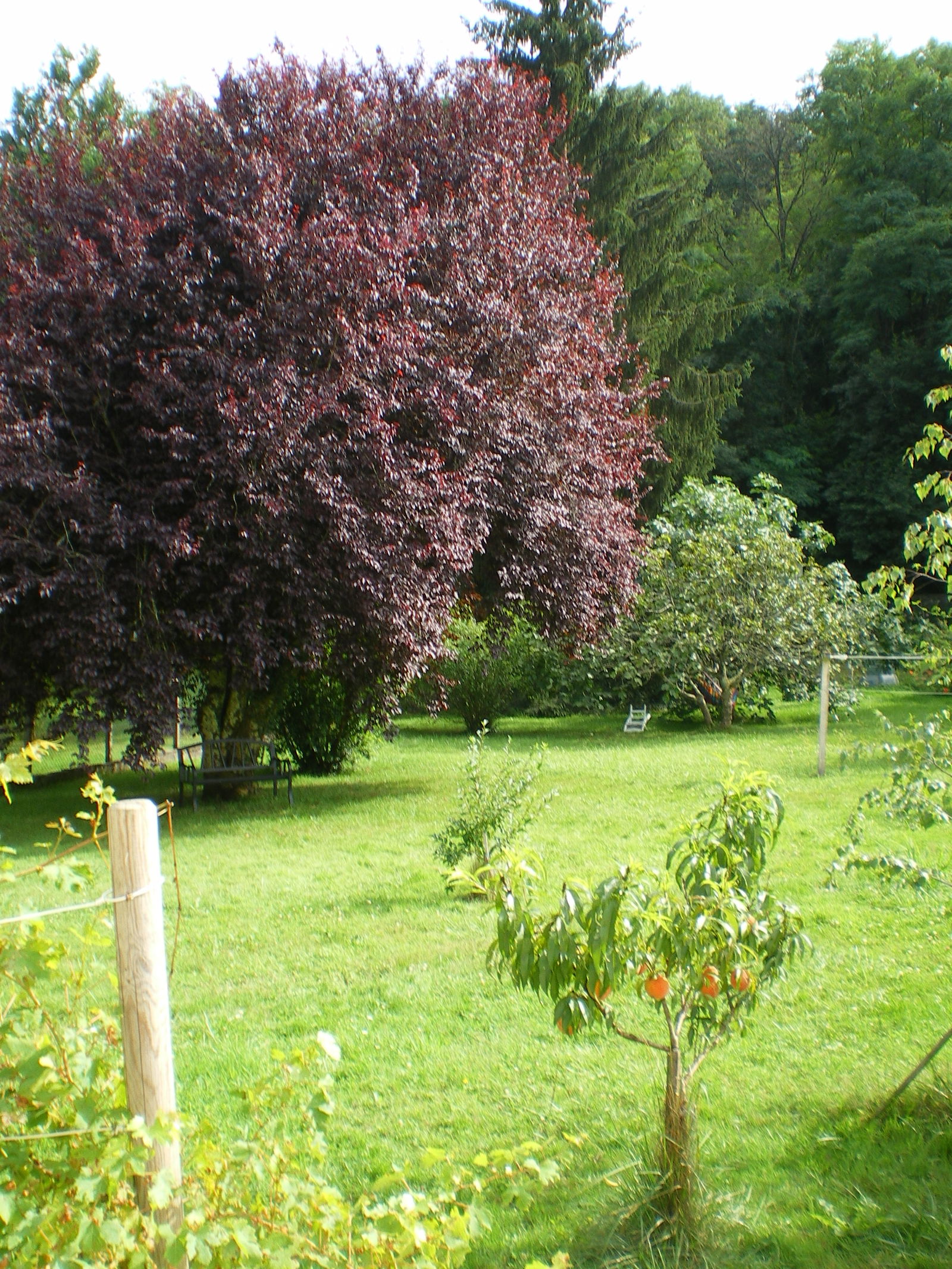 Homestay Arbus 231507