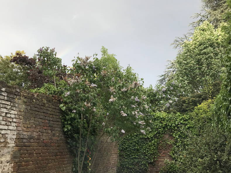 Chambre Chez L'habitant Amiens 242446-4