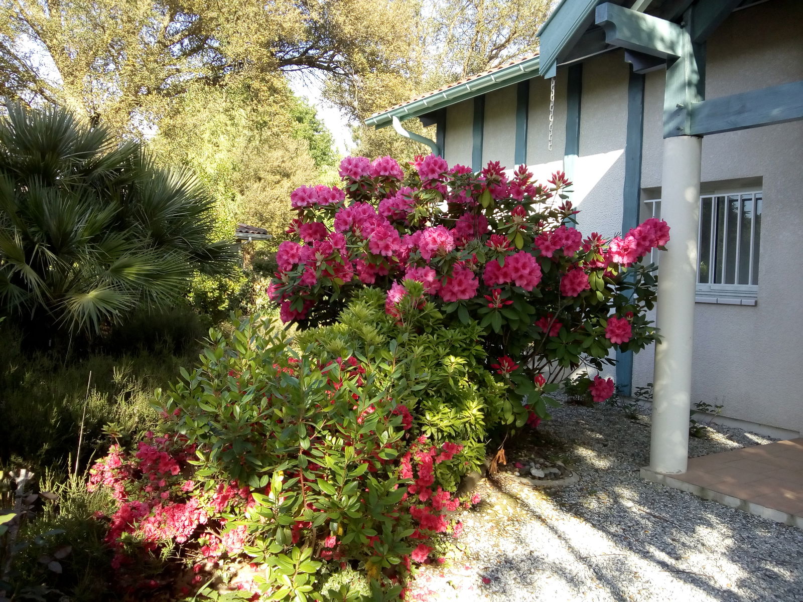 Homestay Messanges 138361