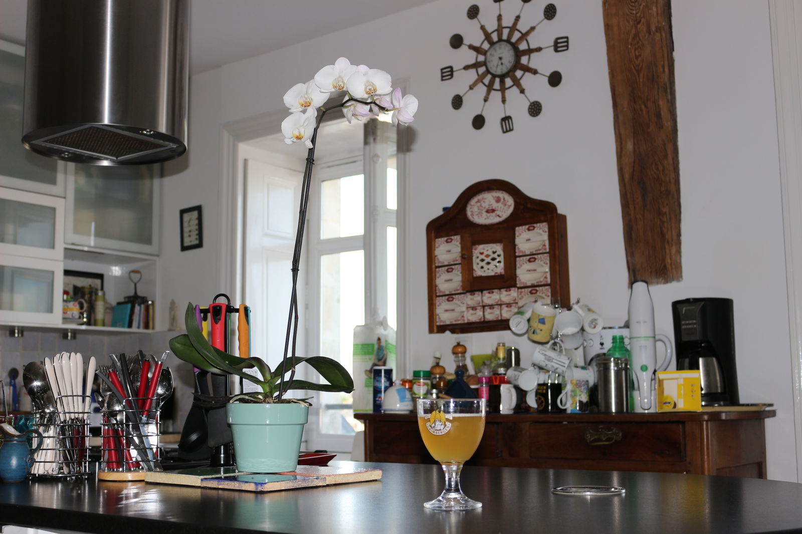 Homestay Nantes 125045