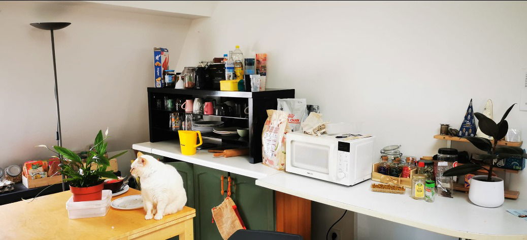 Colocation Lyon 267406