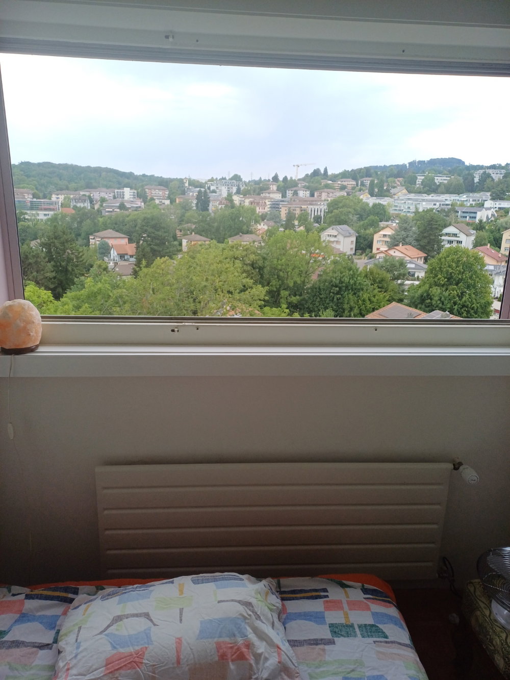 Homestay Lausanne 446943