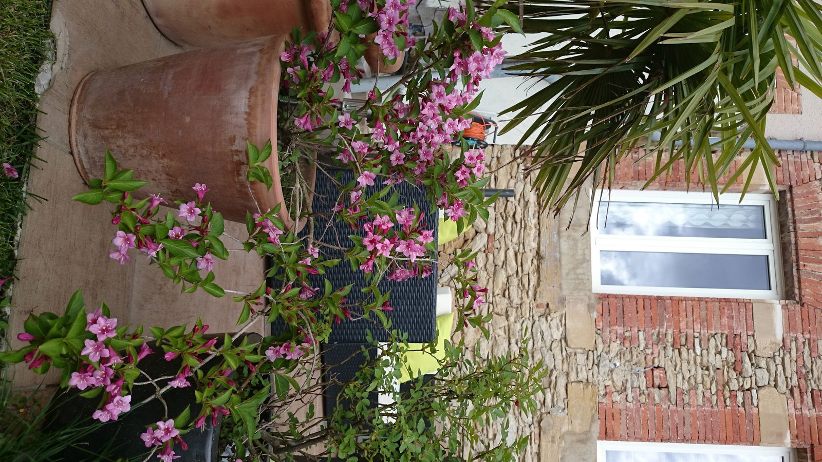 Homestay Villefranche-de-Lauragais 89389