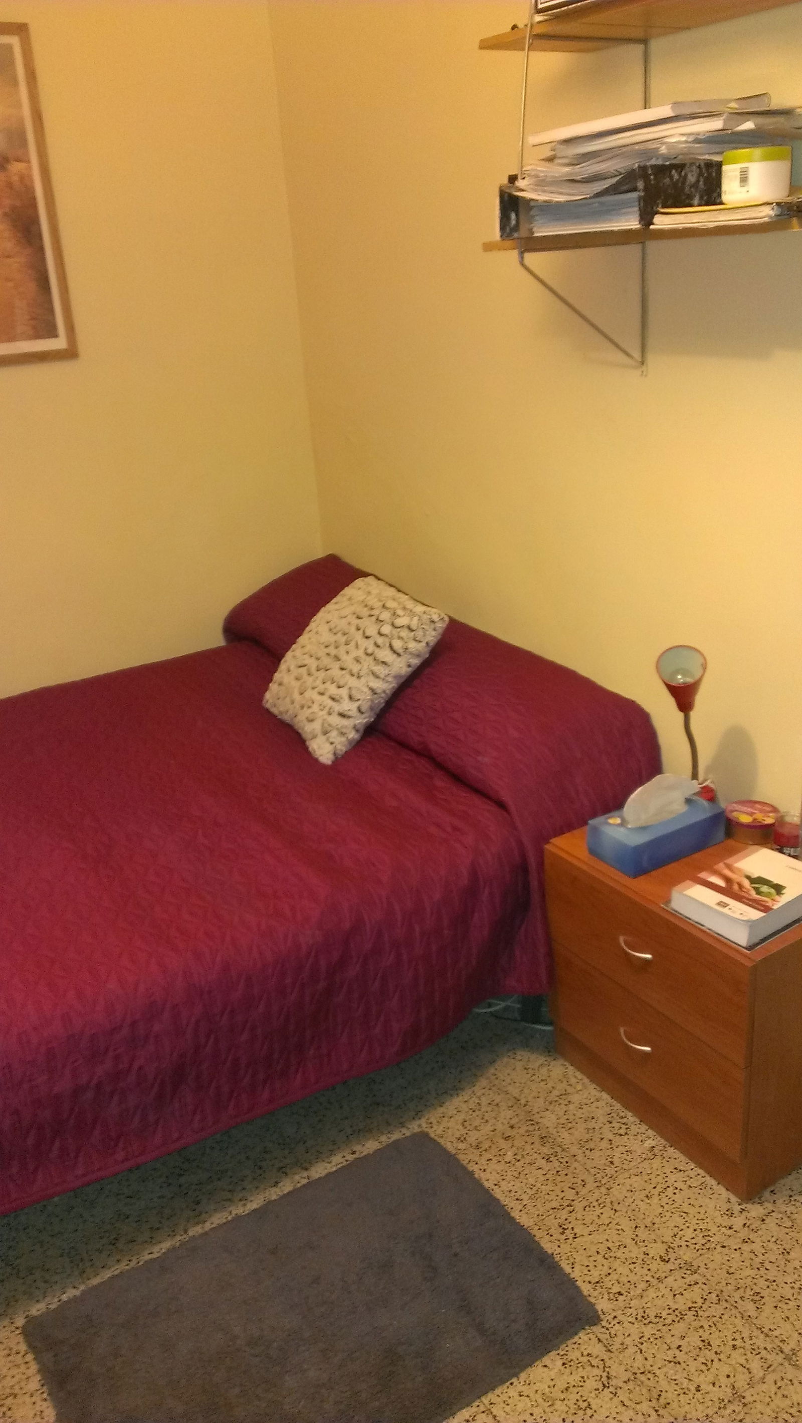Homestay Madrid 106830