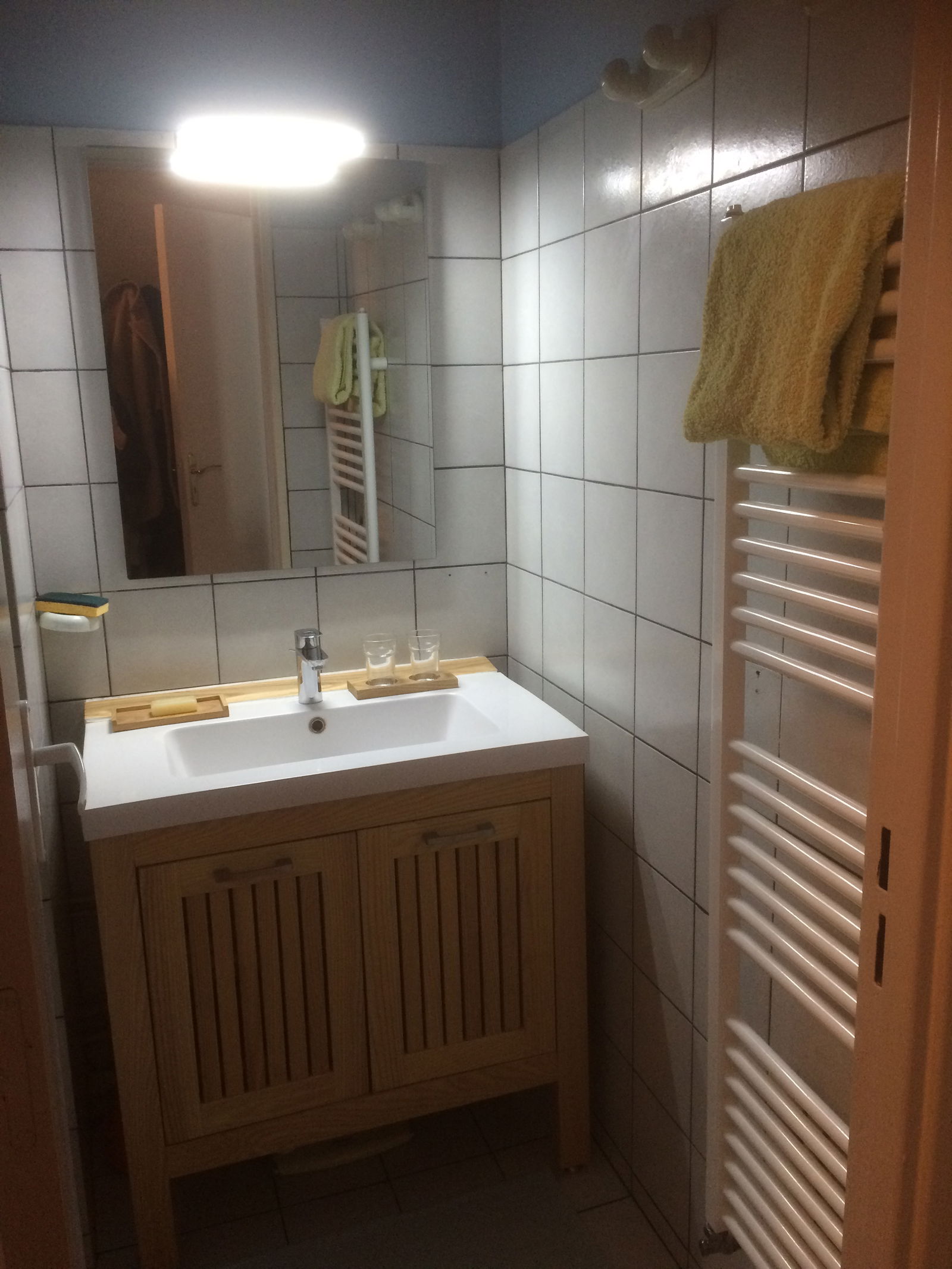 Homestay Montigny-le-Bretonneux 364056