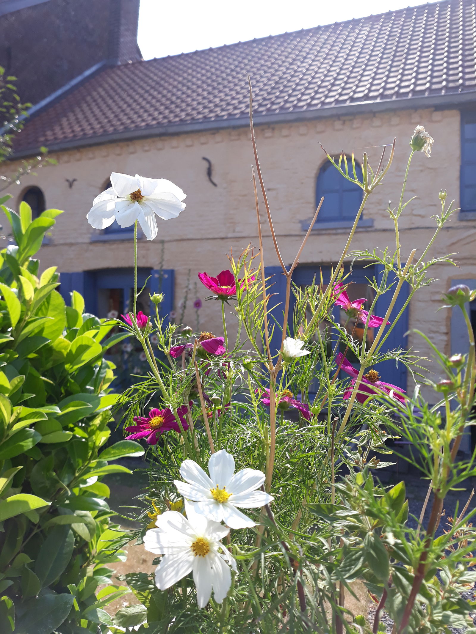 Homestay Tournai 218728