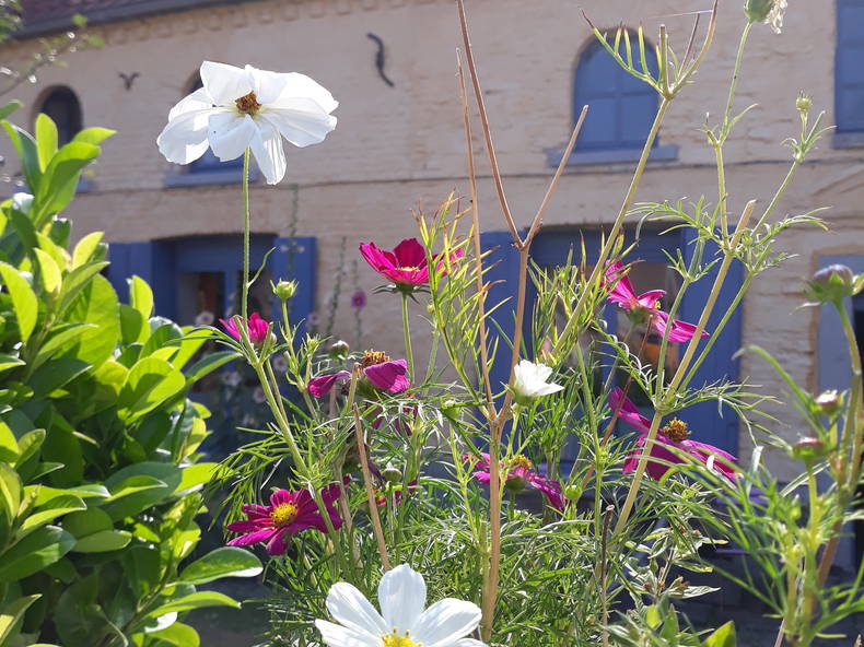 Homestay Tournai 218728-1