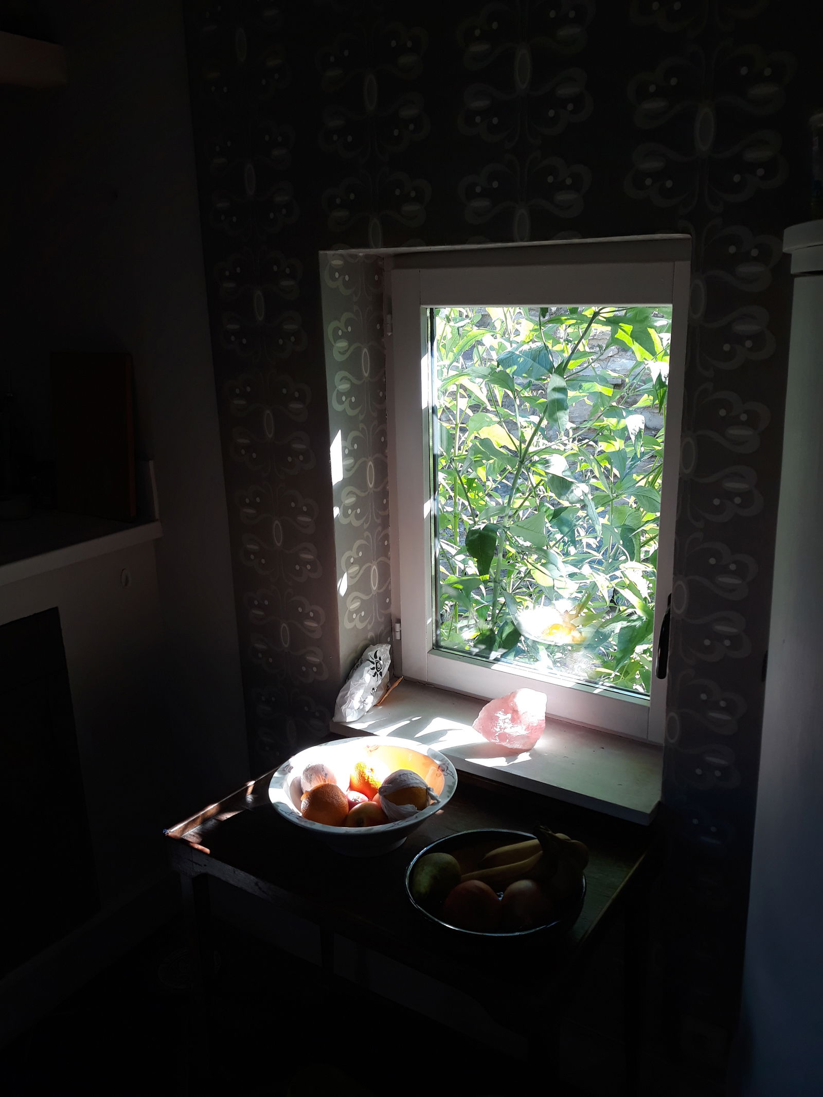 Homestay Tournai 218728