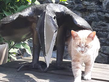Chambre Chez L'habitant Tournai 218728-10