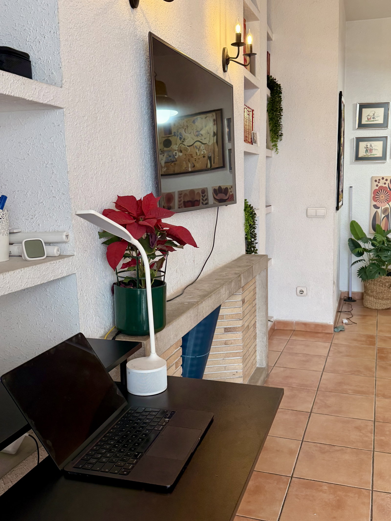 Homestay Palma 664928