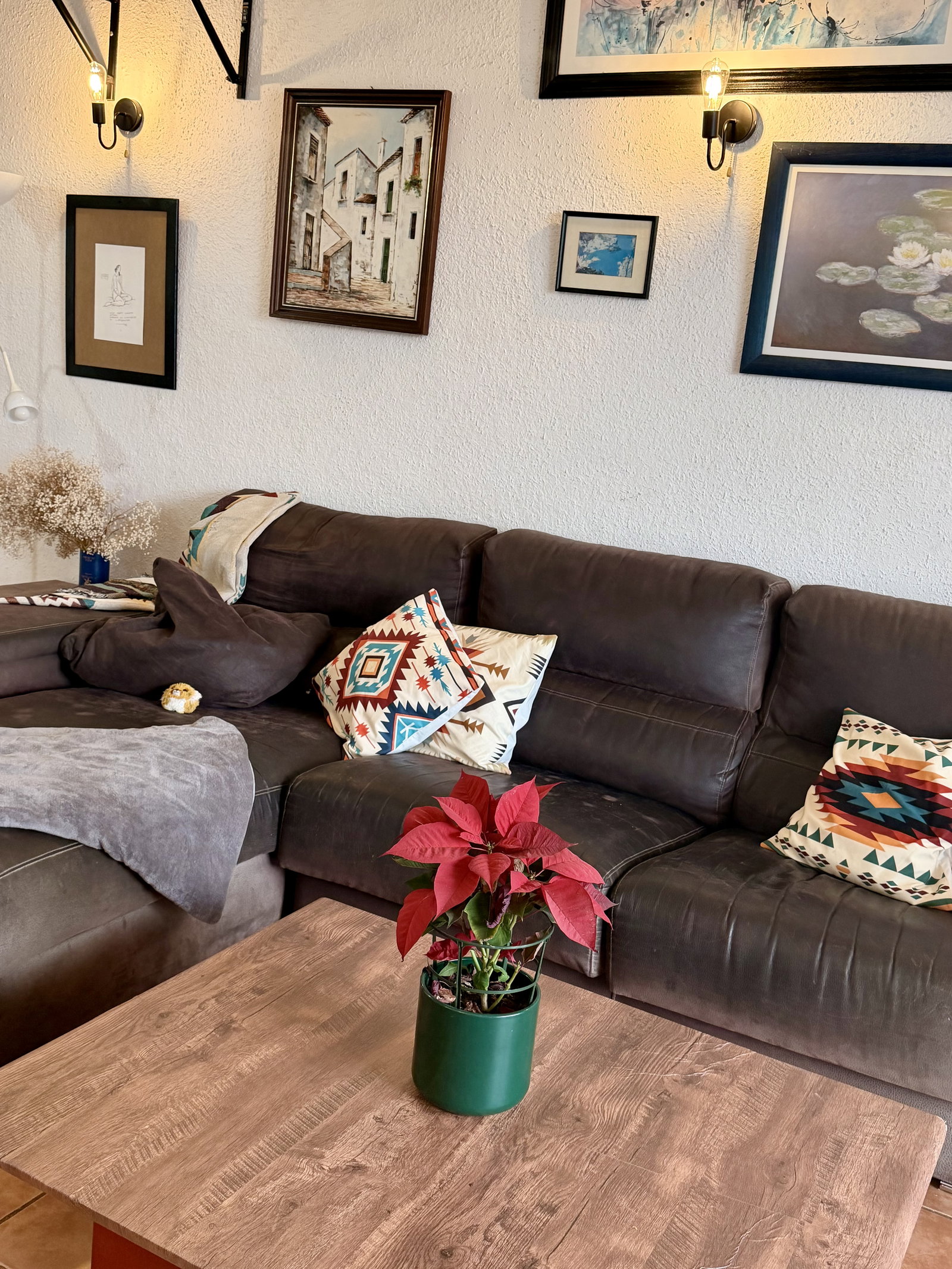 Homestay Palma 664928