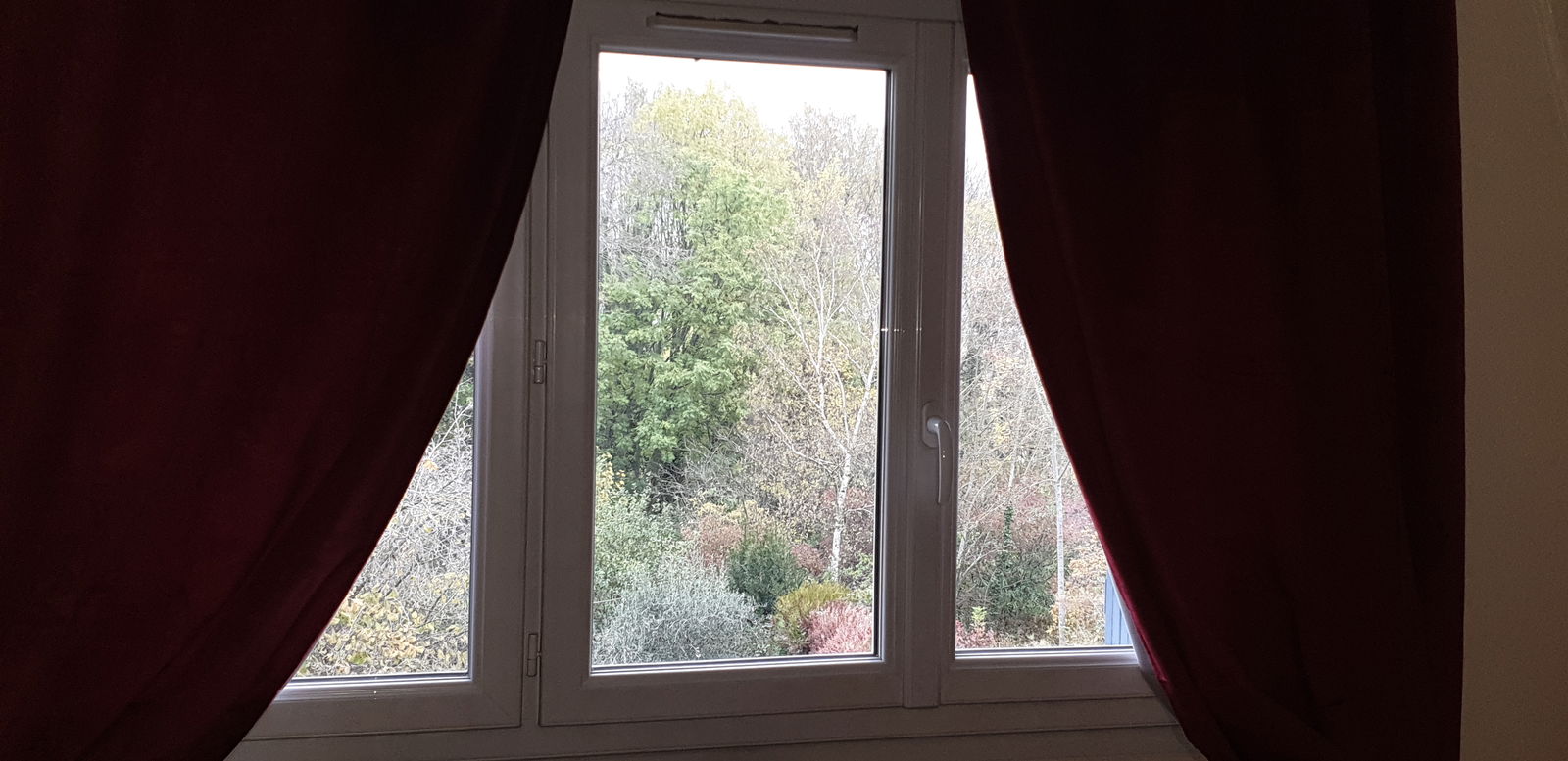 Homestay Antony 231853