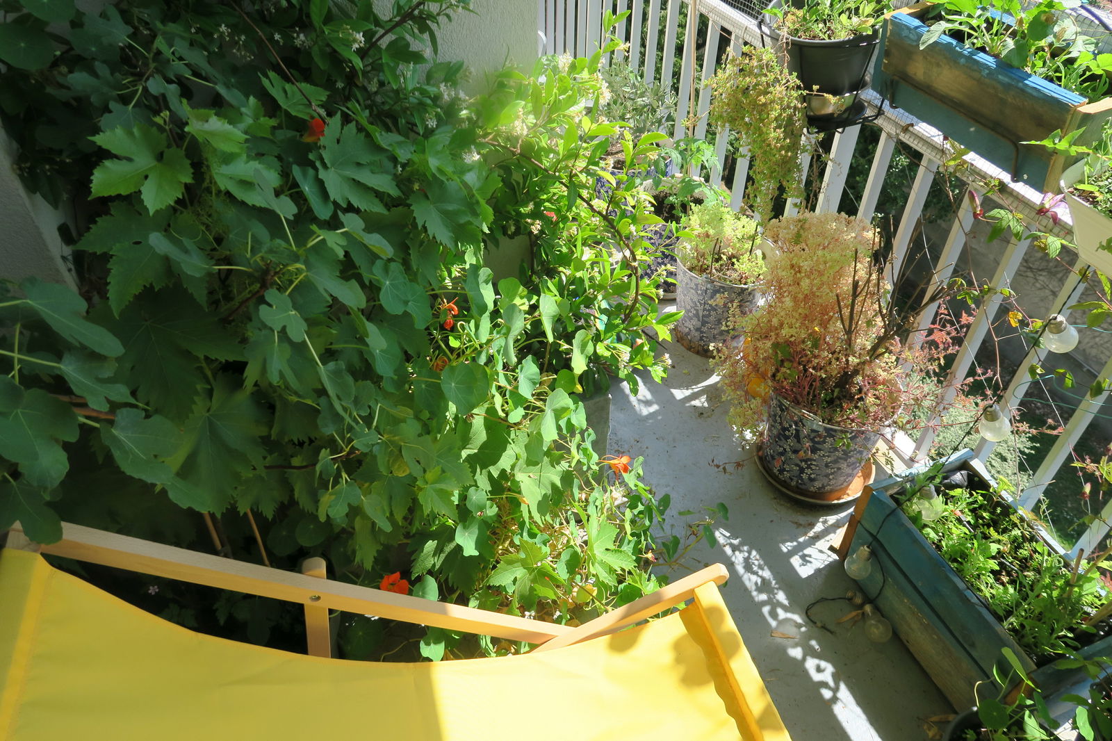 Homestay Paris 247543