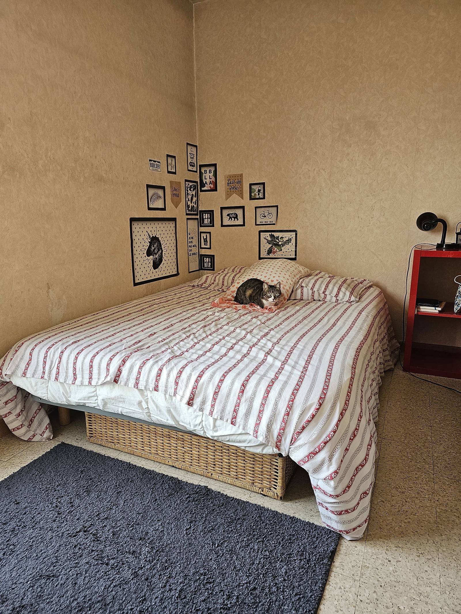 Homestay Aix-en-Provence 249490