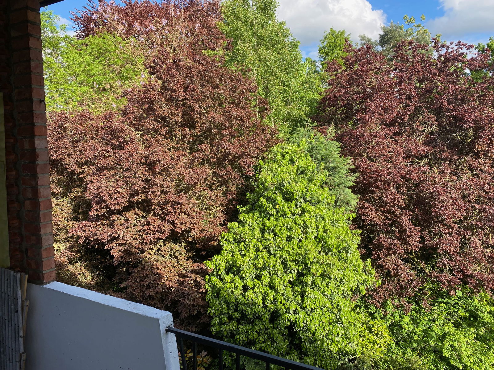 Homestay Charleroi 380029