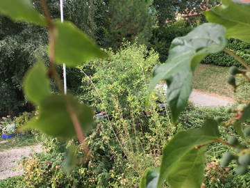 Chambre Chez L'habitant Thoiry 210706-5