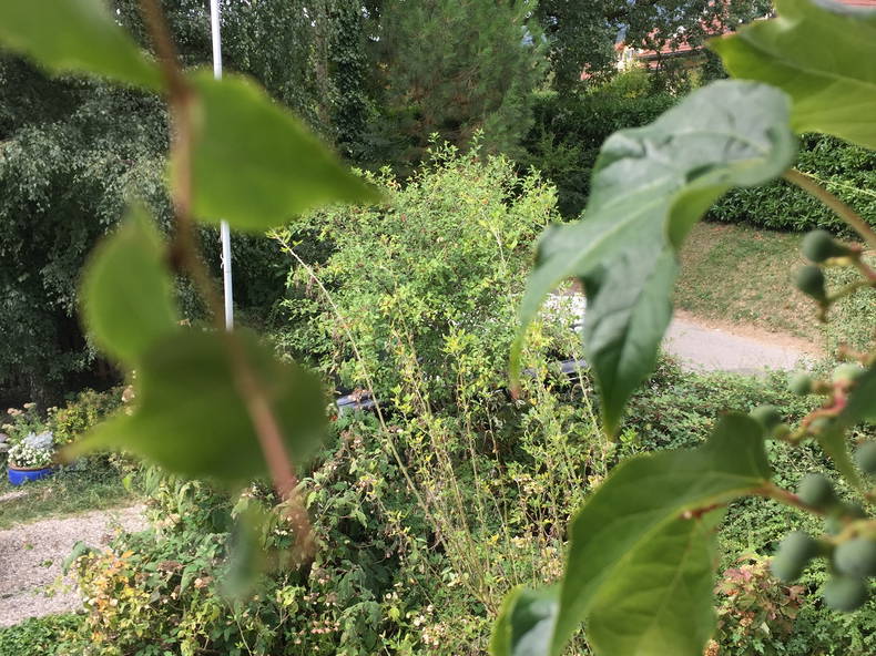 Gastfamilie Thoiry 210706-5