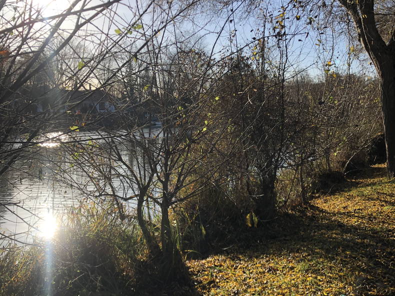 Homestay Andrésy 275324-4